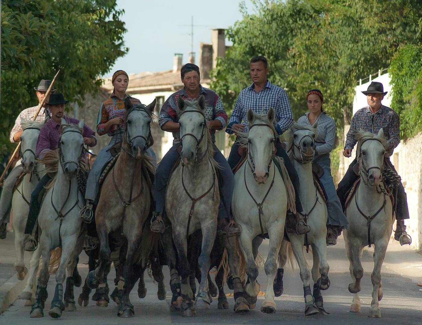 La Camargue